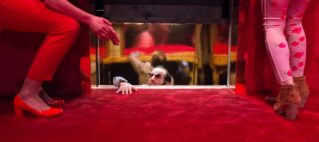 Burnt Toast. Copyright: Alette Schei Rørvik